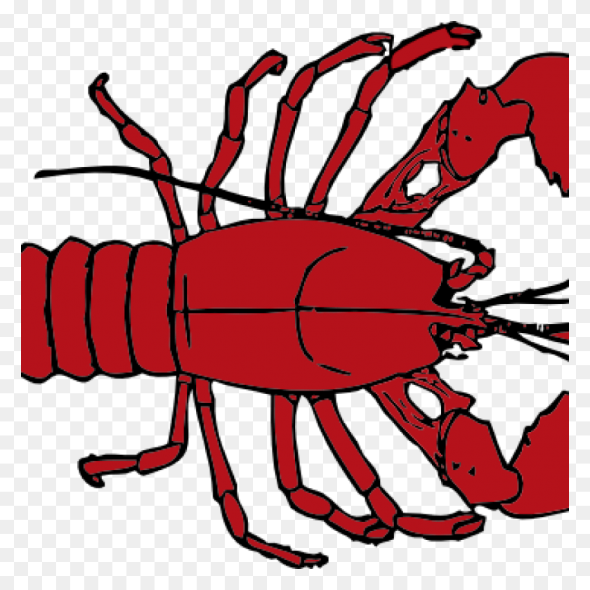 Detail Lobster Clipart Free Nomer 14