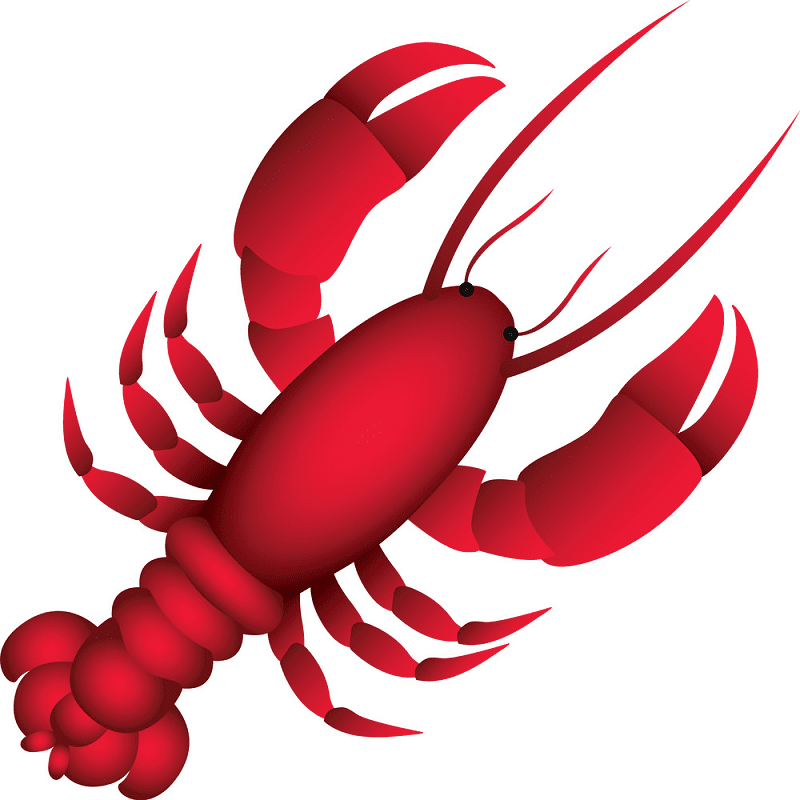 Detail Lobster Clipart Free Nomer 33