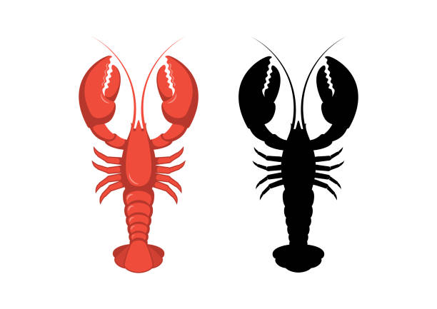 Detail Lobster Clipart Free Nomer 40