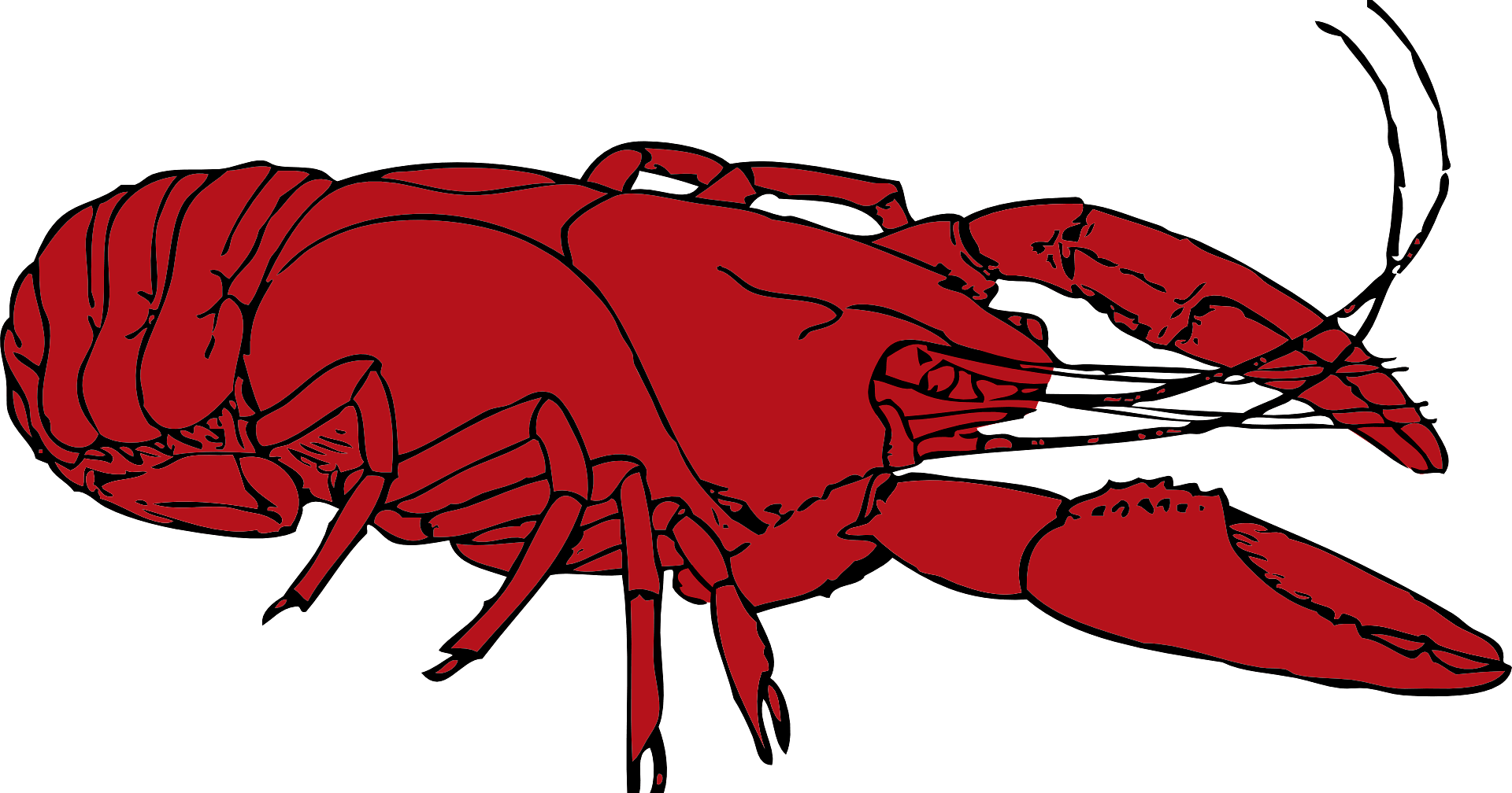 Detail Lobster Clipart Free Nomer 49