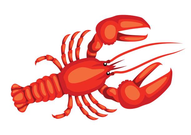 Detail Lobster Clipart Free Nomer 7