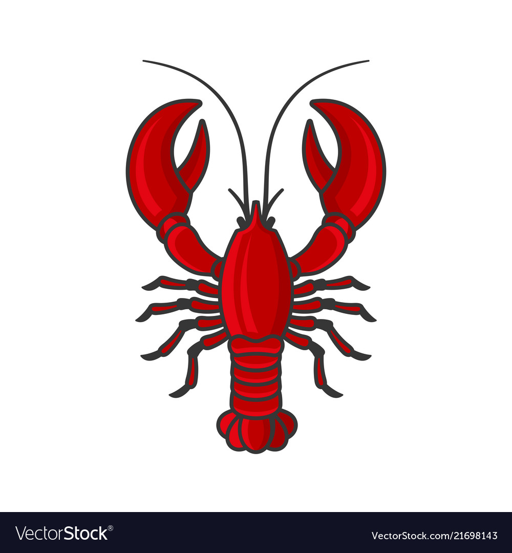 Detail Lobster Images Free Nomer 26