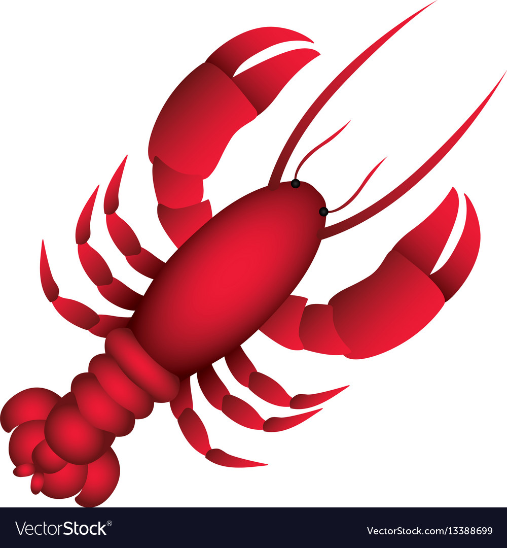 Detail Lobster Images Free Nomer 33