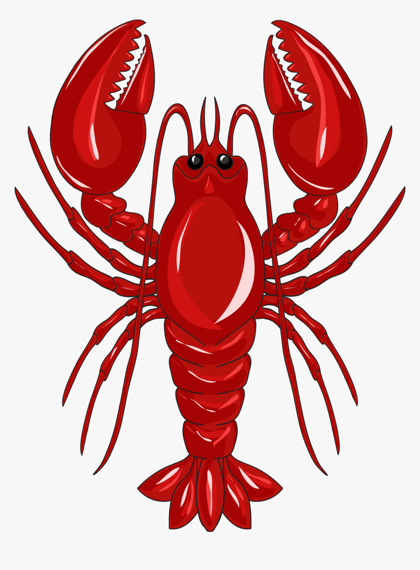 Detail Lobster Images Free Nomer 50