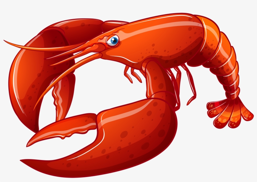 Detail Lobster Png Nomer 30