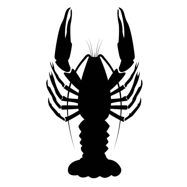 Detail Lobster Silhouette Clip Art Nomer 29