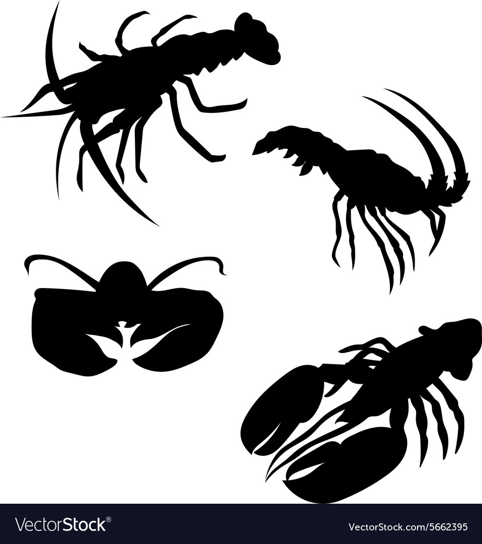 Detail Lobster Silhouette Clip Art Nomer 43