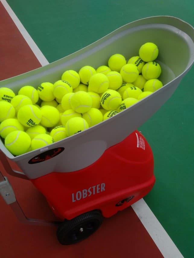 Detail Lobster Tennis Ball Machine For Sale Nomer 13