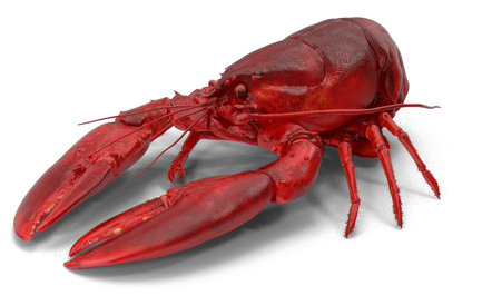 Download Lobster Transparent Background Nomer 16