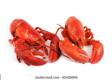 Detail Lobsters Images Nomer 28