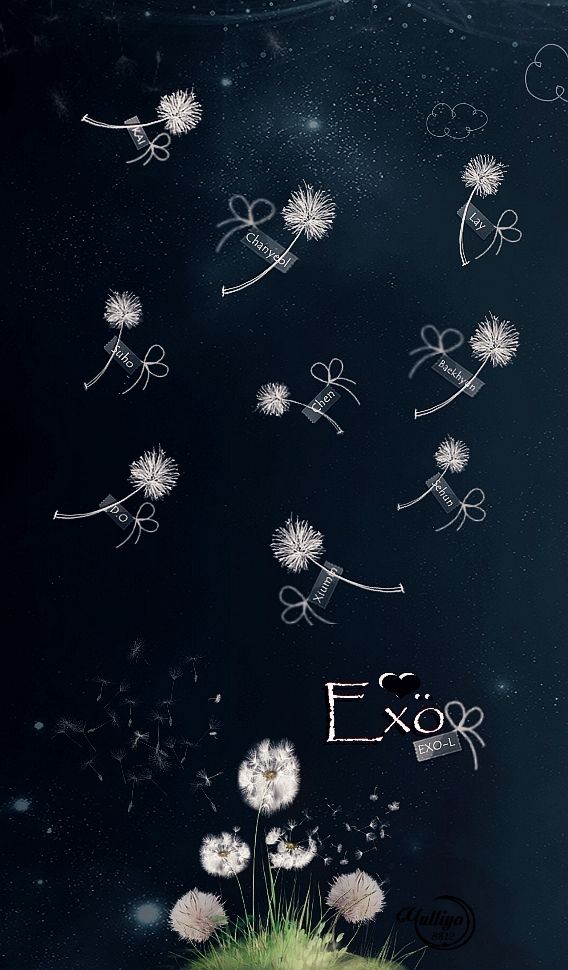 Detail Lockscreen Exo Nomer 12