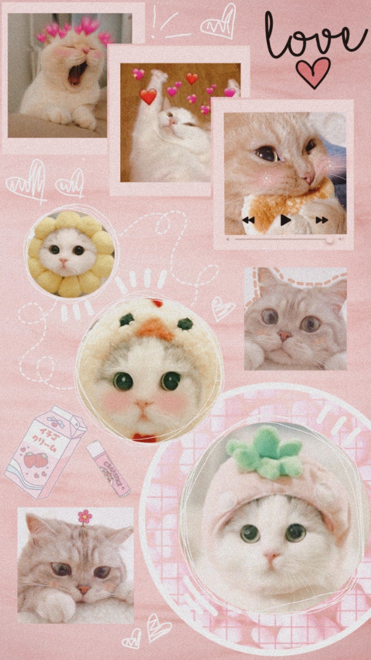 Detail Lockscreen Wallpaper Kucing Aesthetic Nomer 13