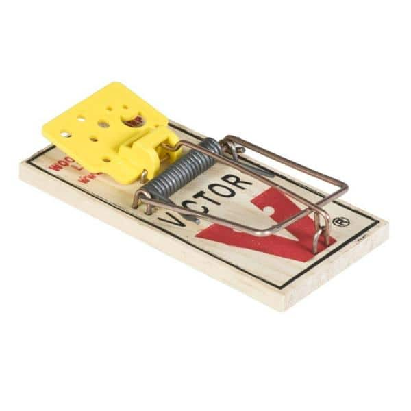 Detail Mouse Trap Images Nomer 14