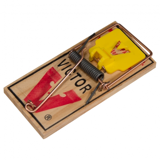 Detail Mouse Trap Images Nomer 15