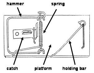 Detail Mouse Trap Ping Pong Ball Launcher Nomer 25