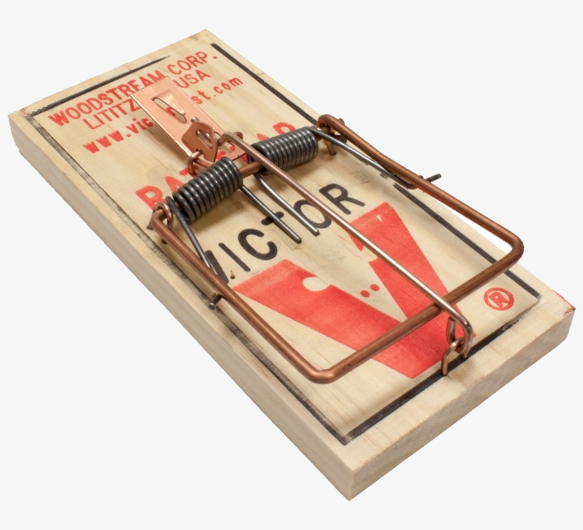 Detail Mouse Trap Png Nomer 11