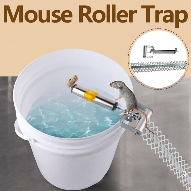 Detail Mouse Traps Vs Trampoline Nomer 50