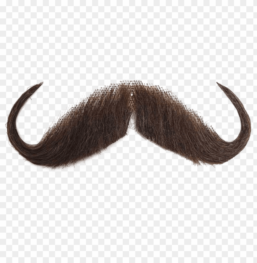 Detail Moustache Background Nomer 50