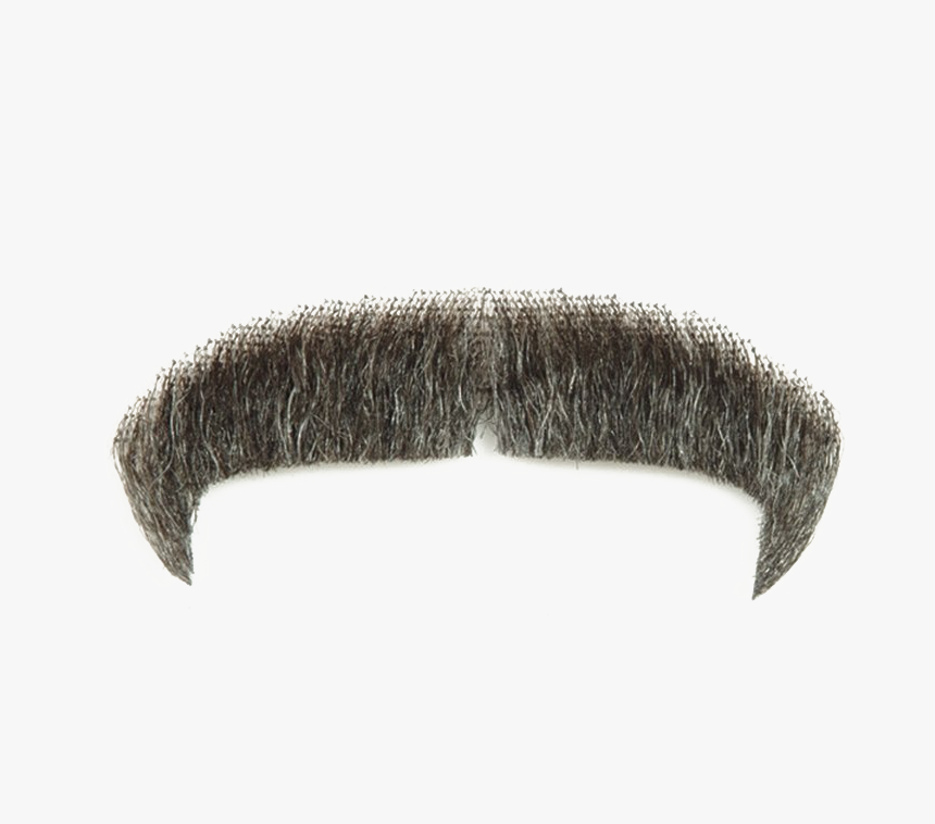 Detail Moustache Image Nomer 41