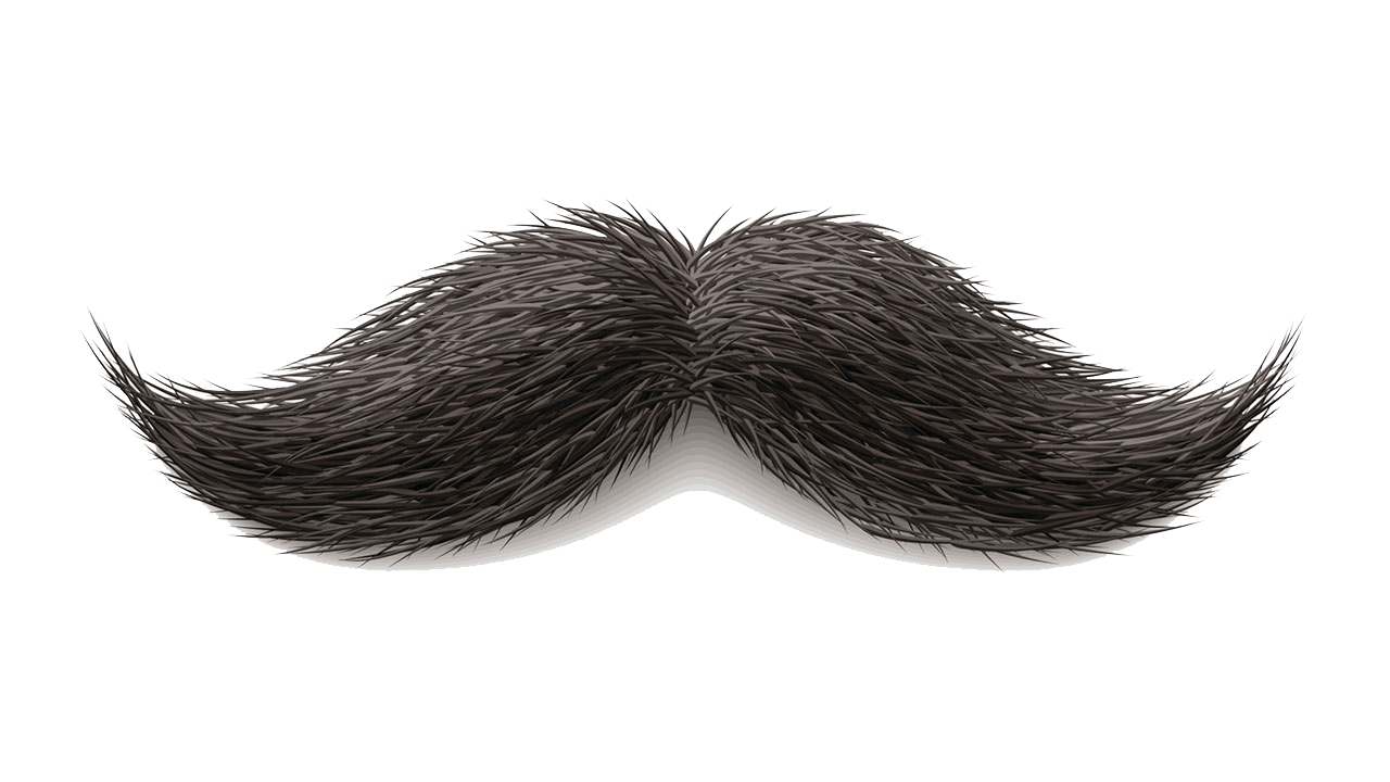 Detail Moustache No Background Nomer 17