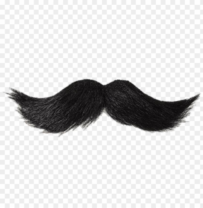 Detail Moustache Png Nomer 12