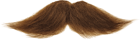 Detail Moustache Png Nomer 13