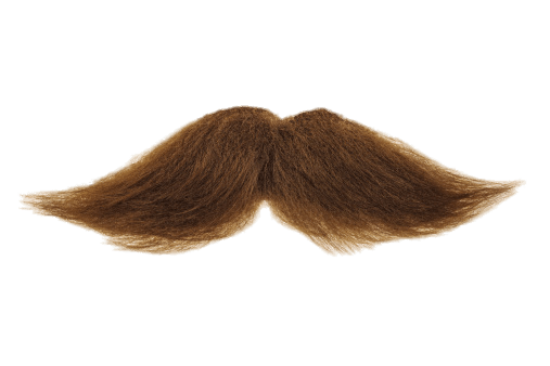 Detail Moustache Png Nomer 25