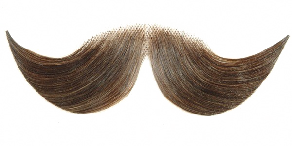 Detail Moustache Png Nomer 28