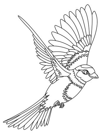 Detail Mozaik Burung Kakak Tua Nomer 41