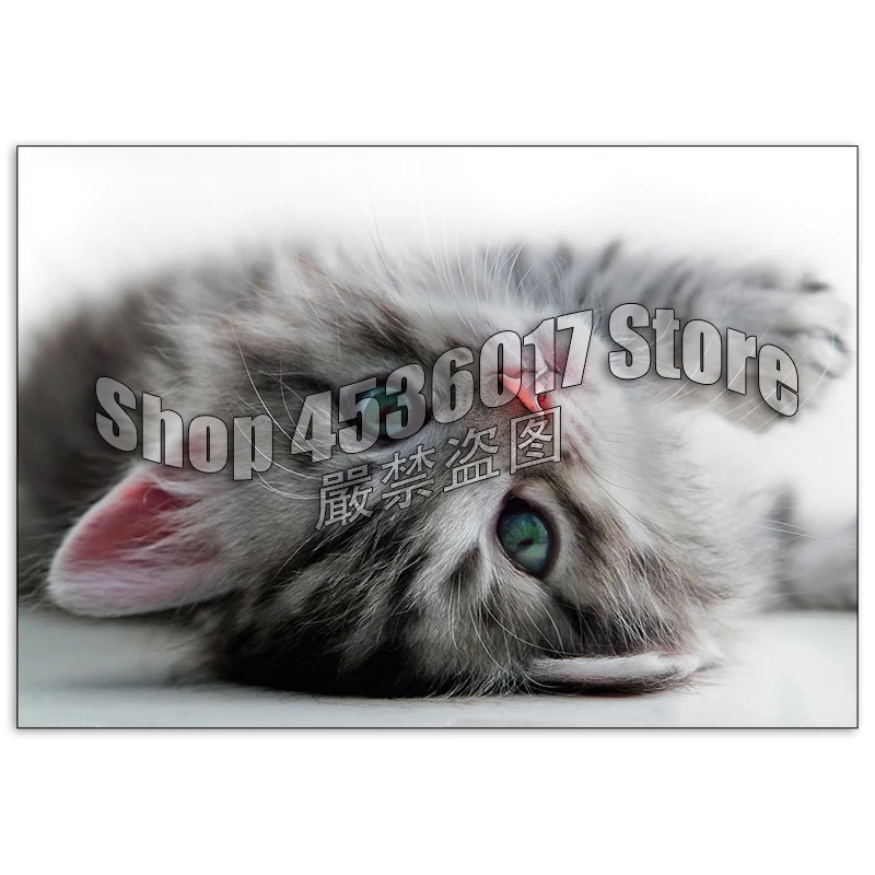 Detail Mozaik Kucing Nomer 40
