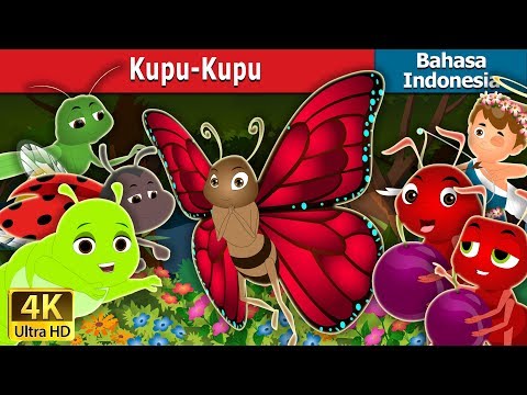 Detail Mp3 Kupu Kupu Yang Lucu Nomer 12