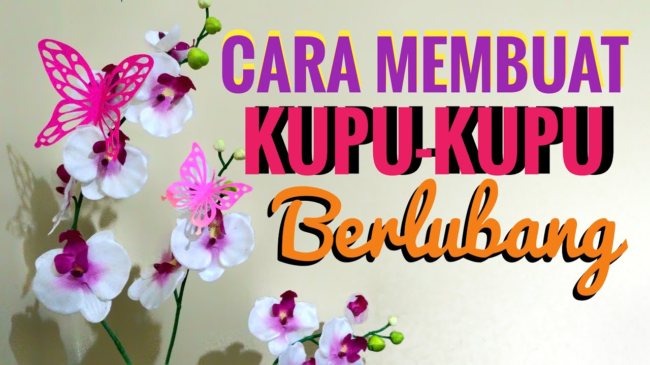 Detail Mp3 Kupu Kupu Yang Lucu Nomer 35