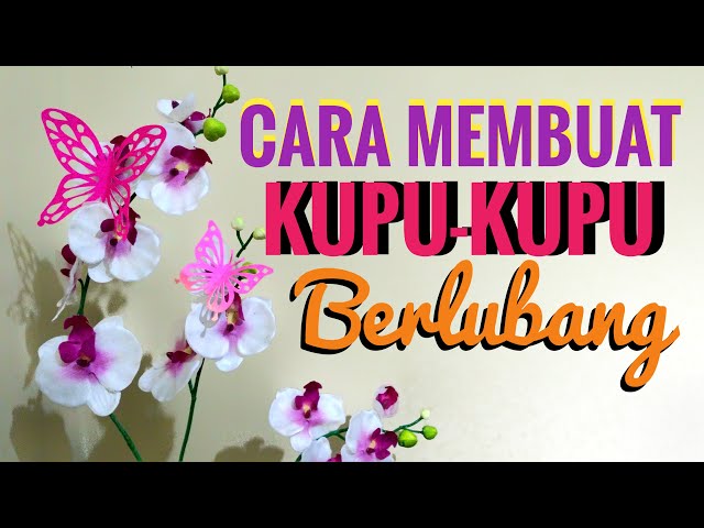 Detail Mp3 Kupu Kupu Yang Lucu Nomer 51