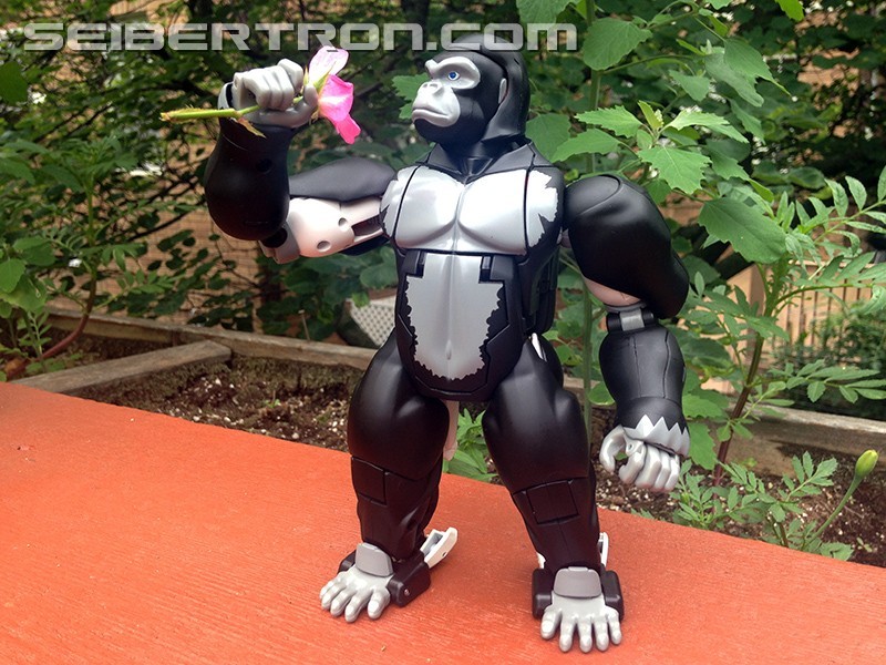 Detail Mp38 Transformers Nomer 31