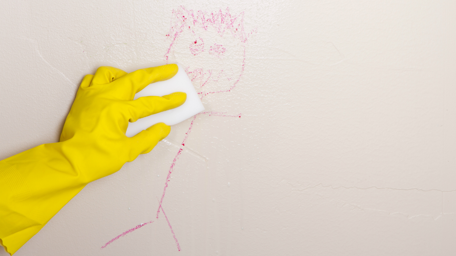 Detail Mr Clean Magic Eraser Wiki Nomer 27
