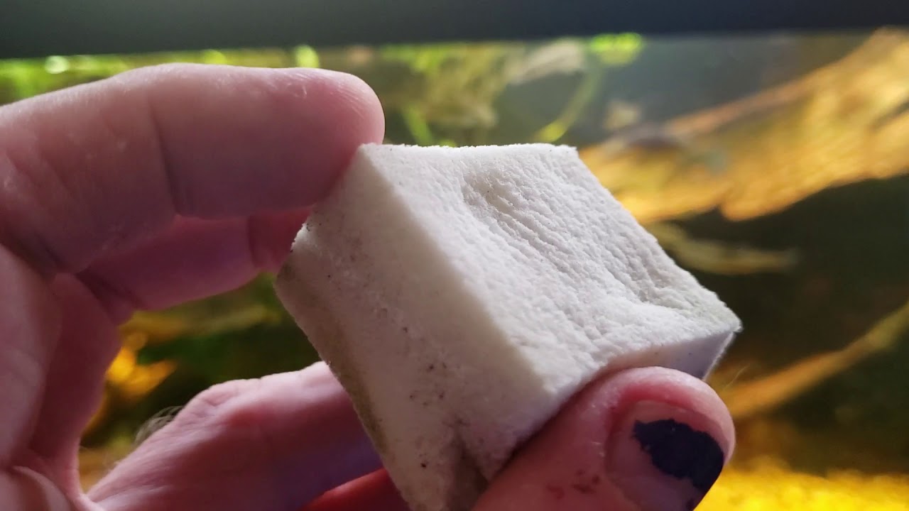 Detail Mr Clean Magic Eraser Wiki Nomer 55
