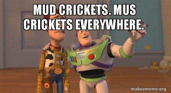 Detail Mud Cricket Meme Nomer 23