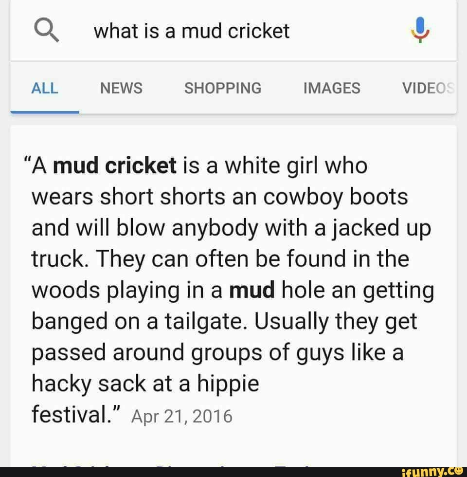 Detail Mud Cricket Meme Nomer 5