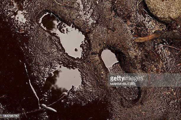 Detail Mud Images Nomer 39