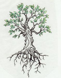 Detail Logo Akar Pohon Nomer 55
