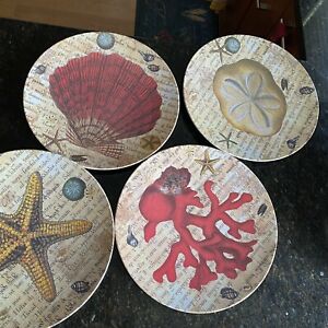 Detail Mud Pie Starfish Plates Nomer 13