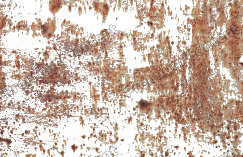 Detail Mud Png Nomer 33