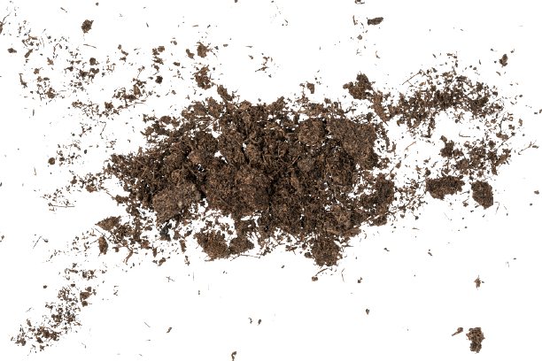 Detail Mud Png Nomer 34