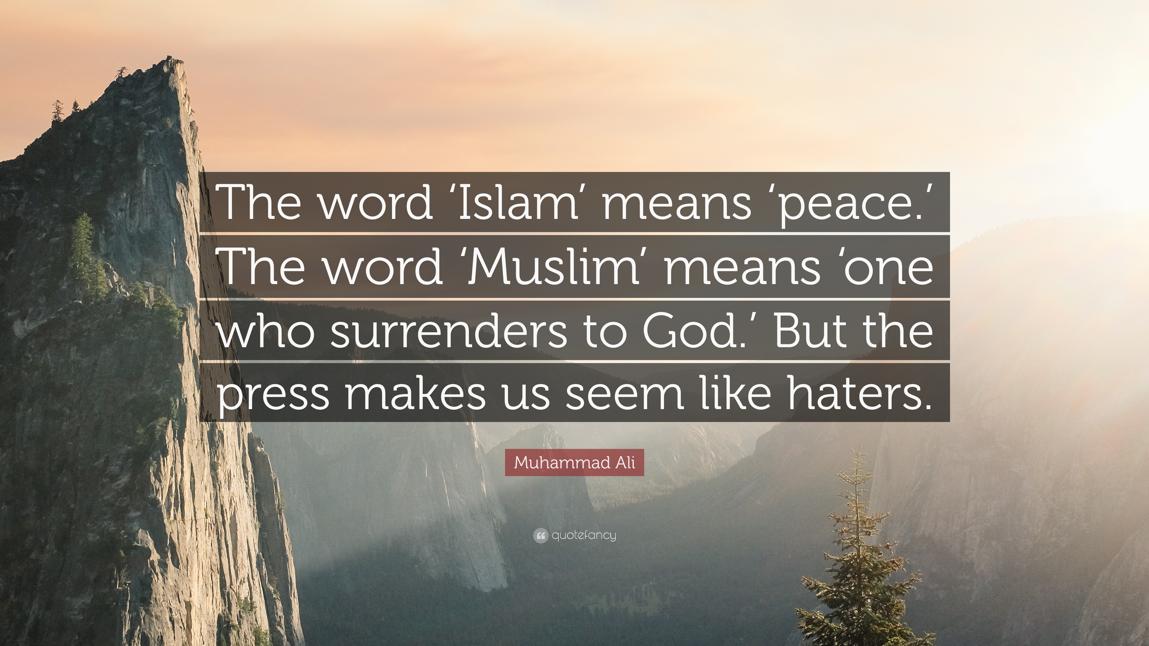 Download Muhammad Quotes On Peace Nomer 24