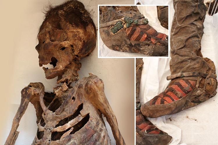Detail Mummy Found Wearing Adidas Nomer 8