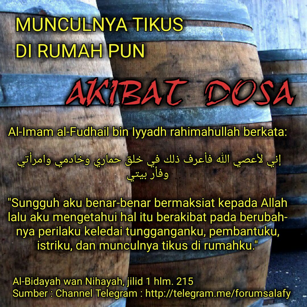 Detail Munculnya Tikus Di Rumah Akibat Dosa Nomer 22