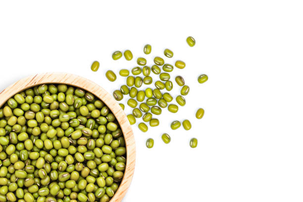 Detail Mung Bean Png Nomer 15