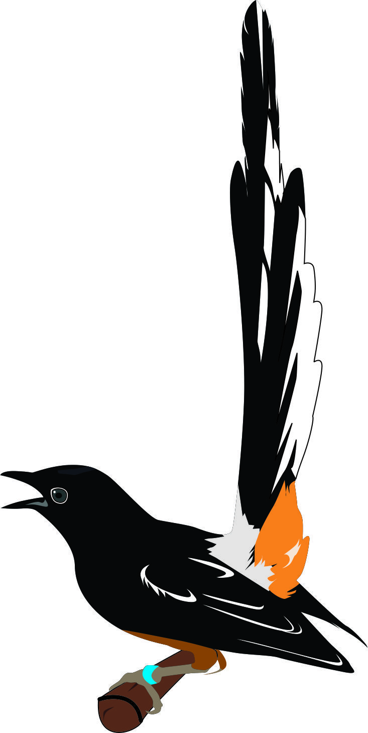 Detail Murai Vector Nomer 4