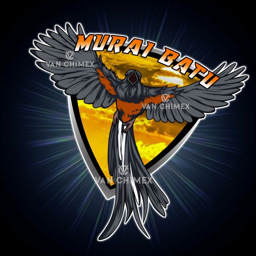 Detail Murai Vector Nomer 35