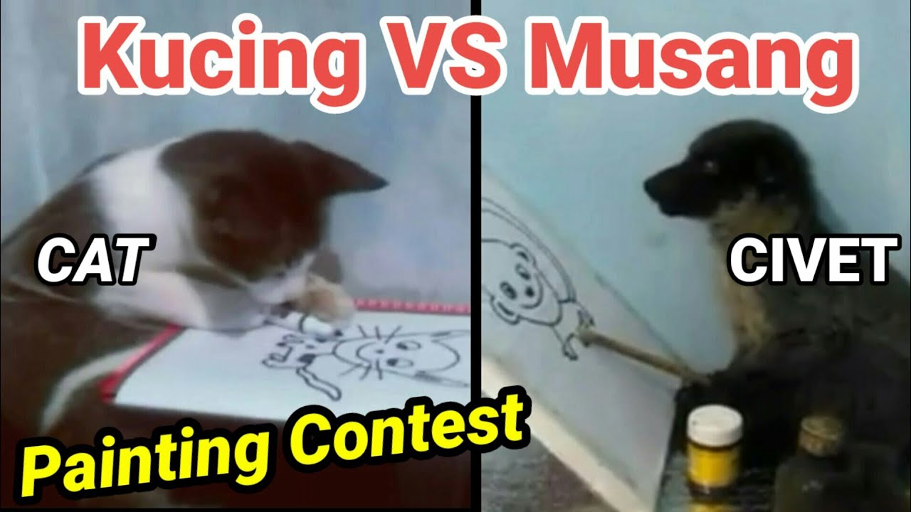 Detail Musang Vs Kucing Nomer 9